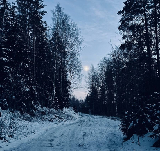 Северо-Запад, Зимний поход с шашлыками и баней