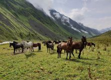 Кавказ, Просторы Безенги (с элементами фото-тура). Разведка