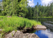 Карелия, Сплав по Верхней Шуе на байдарках