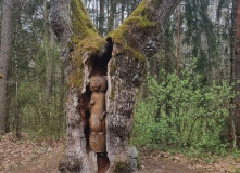 Беларусь, Страна замков: Беларусь на неделю