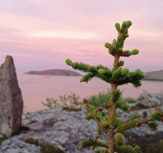 Архипелаг Кузова и Кемские шхеры. По Белому морю на морских каяках