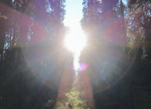 Карелия, Заповедная Карелия: тропами Калевалы (разведка)