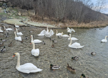 Северо-Запад, Изборско-Мальская долина (разведка)