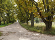 Северо-Запад, Золото осенних дорог: велотур в Пушкинские горы