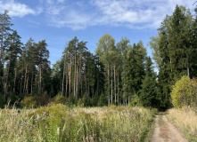 Подмосковье, К НЛО через Голубое озеро
