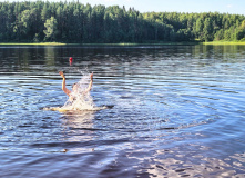 Подмосковье, Лесной лагерь с детьми на Валдае (Новгородская область)