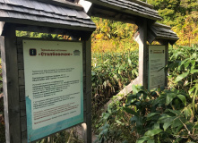 Дальний Восток, Здравствуйте, я ваша Тятя: поход по острову Кунашир + Сахалин