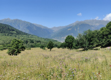 Кавказ, Голубоглазая Теберда. Путешествие для родителей и детей