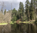 Северо-Запад, Прогулка на сапах по реке Оредеж (18+)