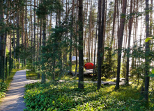 Подмосковье, Лесной лагерь с детьми на Валдае (Новгородская область)