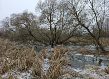 Подмосковье, Родина Маршала Жукова и озеро Огублянка