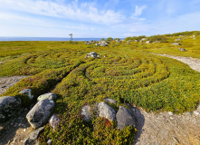 Карелия, Хранители Соловецких островов: семейное путешествие к белым китам