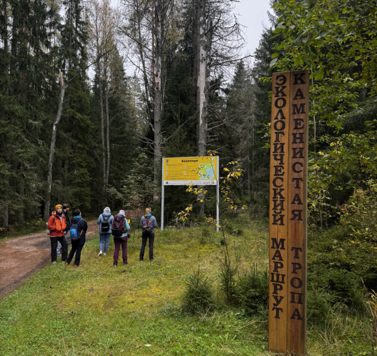 Каменистая тропа Кивипарка