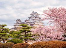 Япония, Японская кругосветка