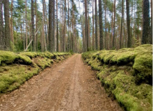 Подмосковье, ВелоТТТур по Тверской области (Тверь – Тверца – Тьма)