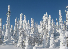 Карелия, По следам на снегу: Северная Карелия на снегоходах и лыжах с детьми