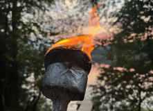 Подмосковье, Лесной лагерь с детьми на Валдае (Новгородская область)