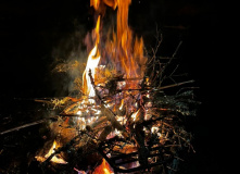 Северо-Запад, Основы выживания в лесу и на заброшенных объектах