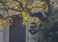 Кавказ, Пятигорский перевал (программа с размещением в старинном купеческом особняке XIX в.)