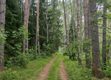 Подмосковье, Пеший поход «Большая Калужская Тропа: вдоль Угры к Никола-Ленивцу»