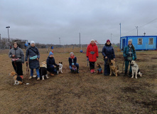 Подмосковье, Дог лагерь Лапка путешествий