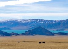 Монголия, Восхождение на высшую точку Монголии – гору Найрамдал (4374 м). Разведка