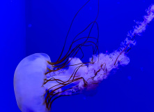 Китай, Живописная палитра Китая: из глубинки провинции к золотым пляжам (разведка)