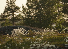 Карелия, Архипелаг Кузова и Кемские шхеры. По Белому морю на морских каяках