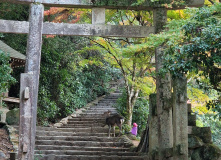 Япония, К пальмам и горячим пескам (разведка)