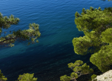 Кавказ, Тайны Шапсугского треугольника: места силы и загадки природы (разведка)