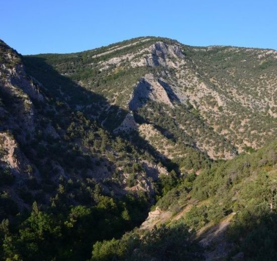 Горный лагерь в Крыму: Байдарская долина