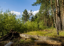 Подмосковье, Шёпот мещёрских лесов да гладь озёр