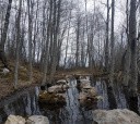 Карелия, Заонежская Карелия