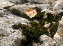 Казахстан, Казахстанский Алтай: сплав по реке Уба на байдарках и хайкинг в горы