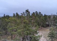 Северо-Запад, Кургальский полуостров