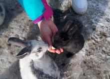 Териберка, Вместе с северным ветром: в Териберку с детьми