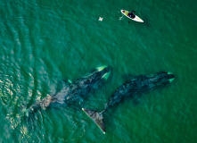 Дальний Восток, Шантарские острова: в поисках мечты (разведка)
