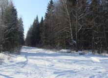 Подмосковье, Комфорт-тур на лыжах «Изумруд Бухары» (Владимирская область)