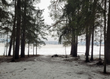 Подмосковье, Поход к карьеру Сима и хвойным лесам