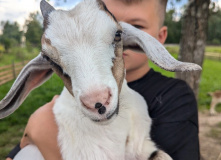 Подмосковье, Однодневный сплав по реке Дубна с прогулкой и обедом на Ферме