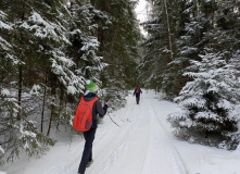 Подмосковье, Однодневный поход «English club в усадьбе Середниково»