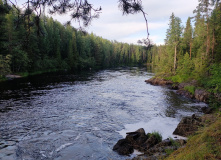 Карелия, Сплав по Верхней Шуе на байдарках
