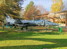 Подмосковье, Комфорт-тур «От Рождества до Купалы: встречаем праздники вместе»