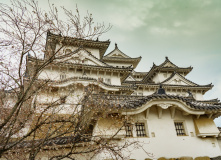 Япония, Каникулы в Японии для детей и взрослых