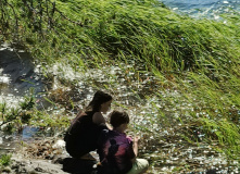 Карелия, Калга (Карелия): сплав на байдарках с выходом в Белое море