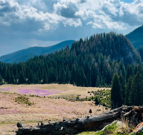Через горы к Замку Дракулы