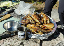 Карелия, Калга (Карелия): сплав на байдарках с выходом в Белое море