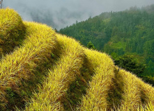 Китай, Живописная палитра Китая: из глубинки провинции к золотым пляжам (разведка)