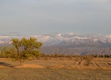 Фотографии 2018 года