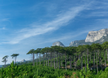 Крым, Новогодний Крым и зимний Ай-Петри: трекинги на Южном берегу Крыма с гостиницей